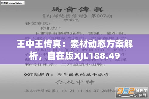 王中王493333WWW马头诗;词语释义解释落实